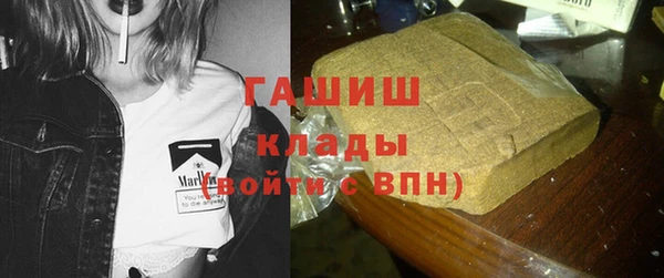 хмурый Аркадак