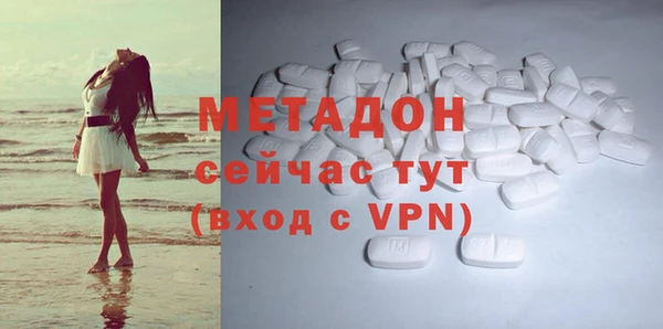 хмурый Аркадак