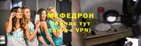 хмурый Аркадак