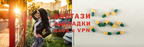 хмурый Аркадак