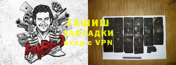хмурый Аркадак