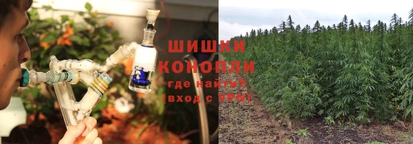 хмурый Аркадак