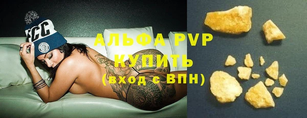 хмурый Аркадак