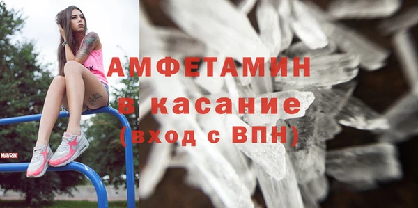 хмурый Аркадак